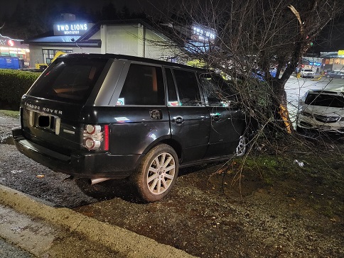 Picture of a black Land Rover crashed into a tree