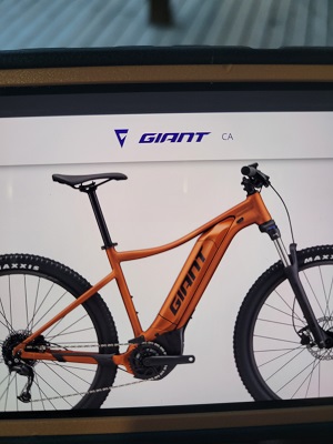 Orange Giant talon e-bike