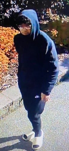 full frontal image of suspect in hoody and dark pants