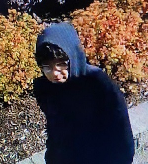 front view of suspect upper body in dark hoody