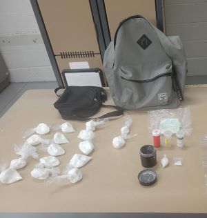 Drugs seized during arrest 