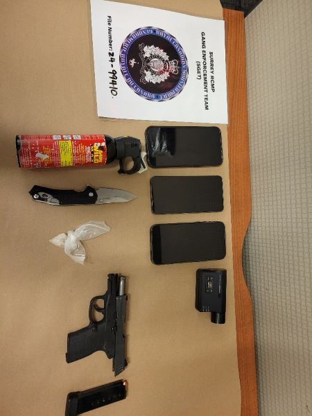 Photo montrant une arme à feu, un chargeur, un couteau, du répulsif à ours, des téléphones cellulaires, un enregistreur vidéo numérique et de la MDMA présumée.