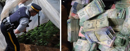Officer discovering marijuana plants and seized cash