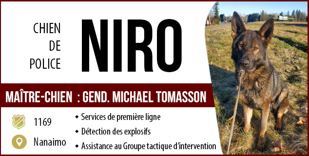 Chien de police - Niro