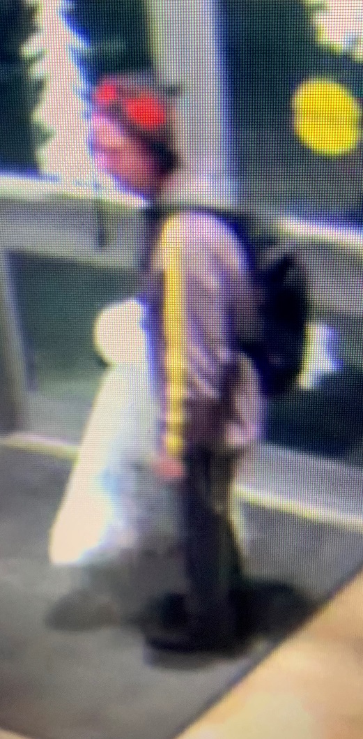 Help identify this sexual assault suspect