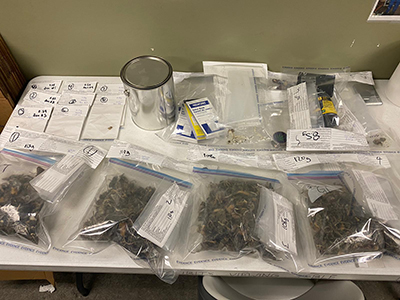 Photo of seized items consistent drug trafficking, suspecte marijuana and magic mushrooms