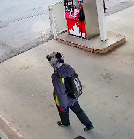 Back view of suspect