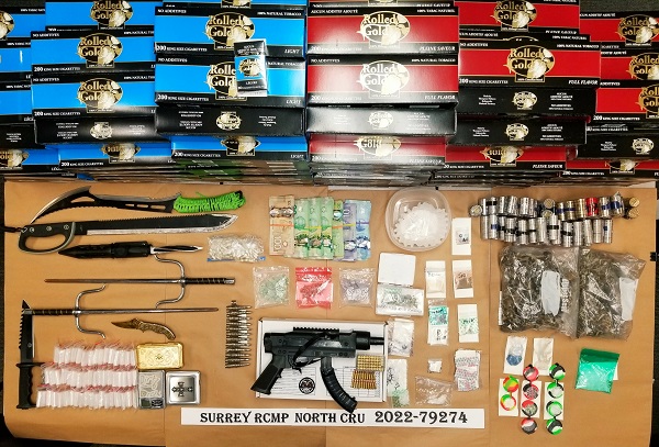 Photo of seized drugs, cash & gun
