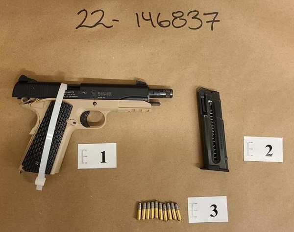 <q>Photo of seized firearm, magazine and ammunition</q>