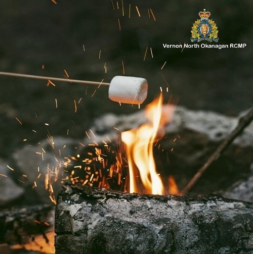 photo of campfire and roasting marshmallow